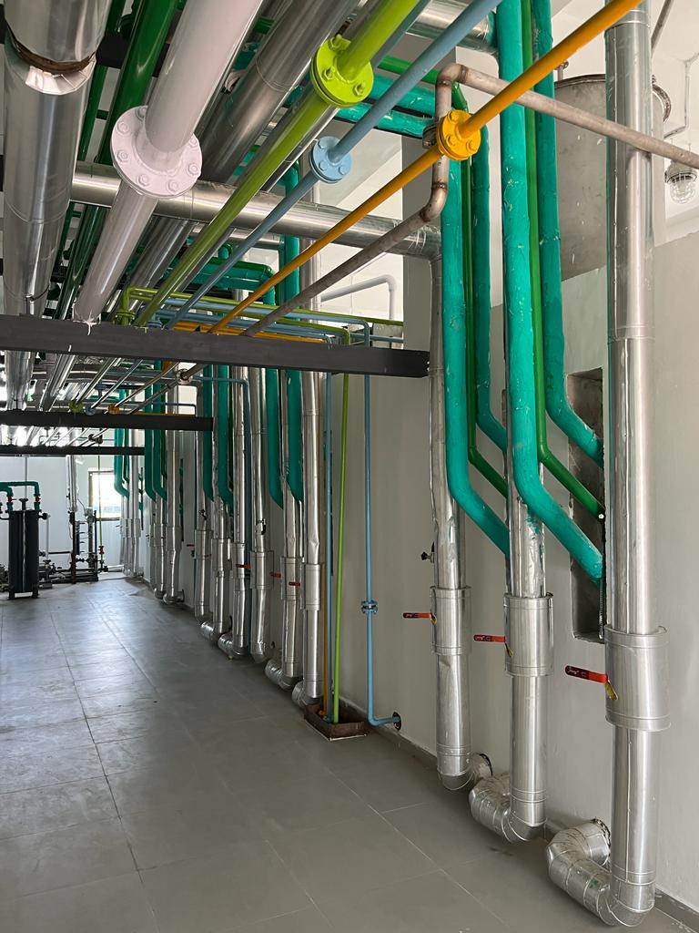 Pipeline Work of Pharma Plant